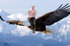 Putinbird.jpg