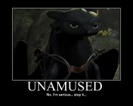 toothless_is_unamused_by_kingdomheartsdragon.jpg