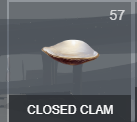 clams.png