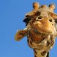 giraffie