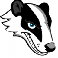 Badgerbush