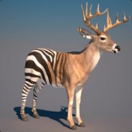 Deerbra