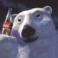 Polarbear