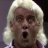 Ric Flair